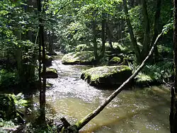 Waldnaabtal