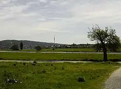 Blick von unterhalb des Waldschlösschens über die Elbe zum Käthe-Kollwitz-Ufer