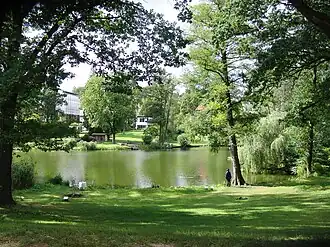 Waldsee