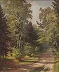 Waldweg in Friedrichsthal