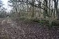 Reste der Burgmauer der Wallburg aus Richtung Norden