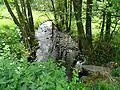 Die Wallmecke