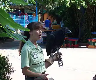 Rafiki's Planet Watch