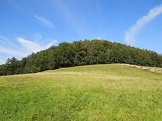 Blick auf den Waltersdorfer Butterberg