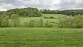 NSG Wannebachtal