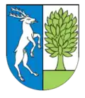 Buch