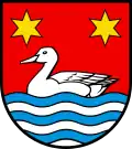 Schwimmende Ente