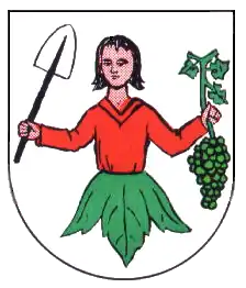 Oberschüpf