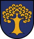 Wappen von Amlach