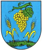 Wappen der Großen Kreisstadt Coswig