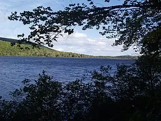Warren Lake