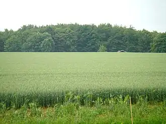 Die Nordseite