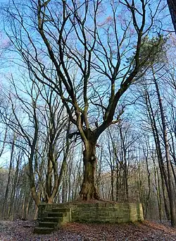 Wartbergswarte