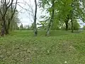 Die Flinsberger Warte mit einem topographischen Punkt auf dem Gipfelpunkt des Warteberges