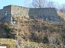 Wartelsteinkavalier