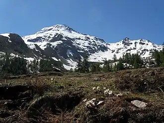 von der Wasenalp im Nordwesten
