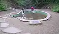 Im Exotenwald in Weinheim
