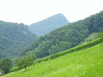 Wasserflue aus dem Südosten