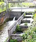 Anfang der Kleinen Emme am Wasserkreuz
