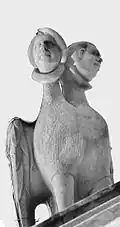 Vogel mit Doppelkopf (Mönch und Nonne)
