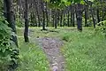 Vom ehemaligen Fort „Wawer“ zeugen nur noch Bodenwellen im heutigen Park „Las Matki Mojej“
