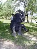 Elefanten-Training