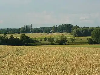 Blick von Süden über die Grabenniederung westlich von Weddel