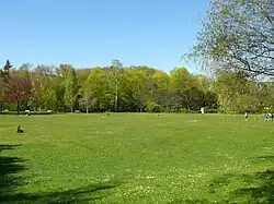Große Liegewiese