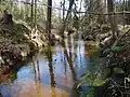 Kanal zur Luttermühle