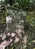 Wegweiserstein am Leopoldstein, Richtung Nordosten über den Kohlplattenweg zum Auerhahnenkopf[4]