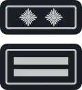 Wehrleiter/-in