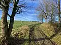 Wanderweg östl. Schmitte