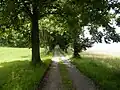 Die Alte Nixdorfer Straße am Fuß des Berges