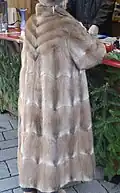 Bisamwammenmantel