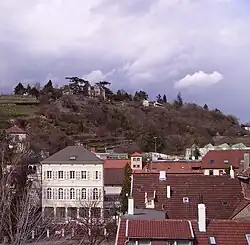 Bebauung am Hang der Haardt
