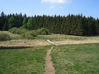 Zum Fels Weißen Stein führender Steg