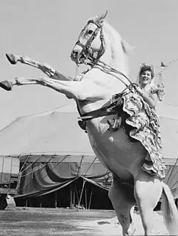 Steigen lassen, Cirkus Arnardo, Norwegen, 1962