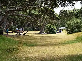 Parklandschaft
