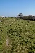 Die Liegende