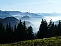 Blick vom Wertacher Hörnle auf die Allgäuer Alpen