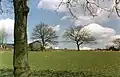 Frühling am Ortseingang von Westen