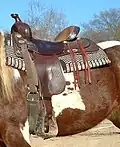 Western-,