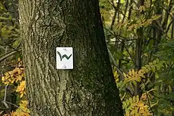 Wegzeichen des Westerwald-Steigs