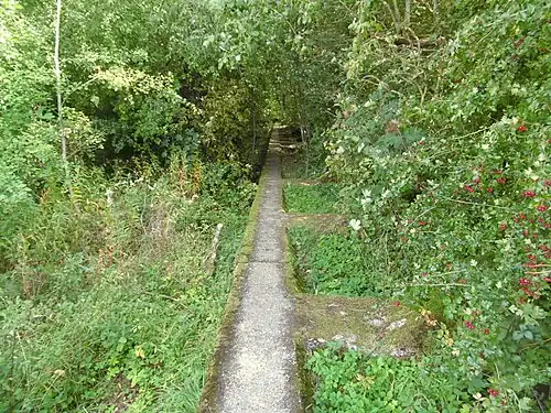 Westwallwanderweg im NSG