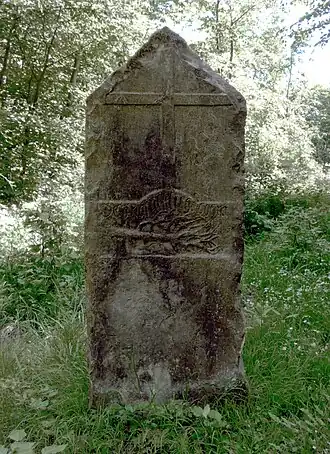 Rückseite