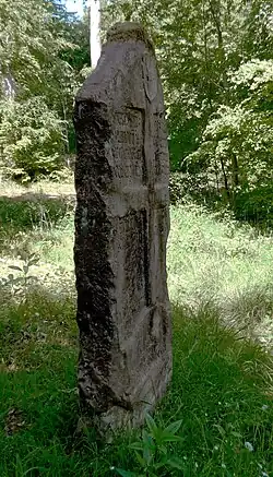 Vorderseite im Profil