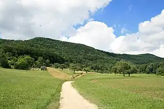 Blick auf die Lägern von Süden bei Wettingen