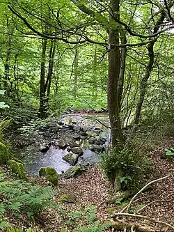 Wiebach Unterlauf