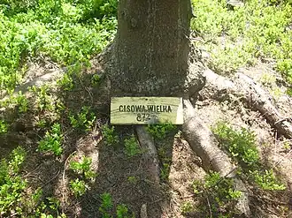 Gipfelschild