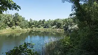 Butterteich
